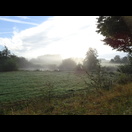 Morgendlicher Nebel